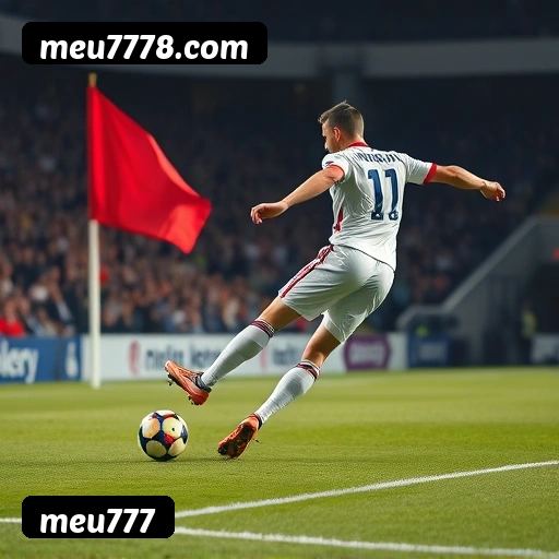 Níveis do programa VIP da meu777